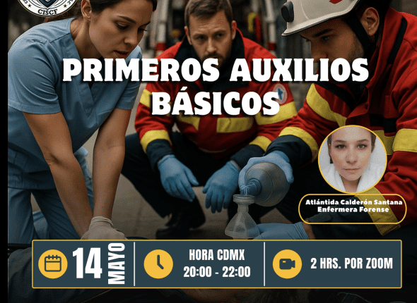 Captura de pantalla 2025-05-13 a las 8.41.29 p. m.